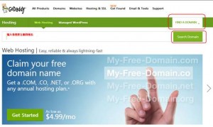 godaddy域名注册