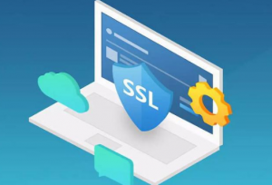 GoDaddy和Comodo的SSL证书比较