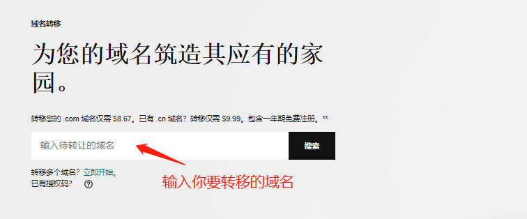 输入域名