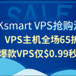 RAKsmart VPS全场低价 爆款美国VPS仅$0.99/月