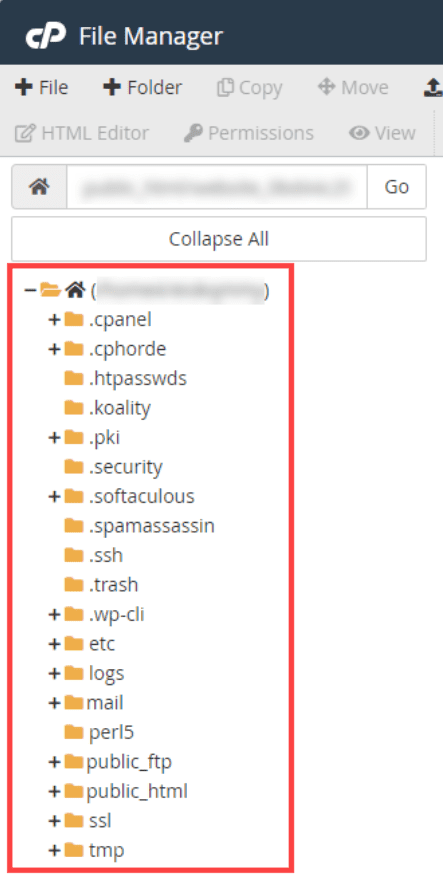 访问文件管理器将文件复制到新域名
