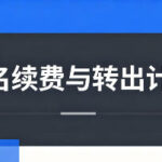 个人站长怎样重做域名续费与转出计划