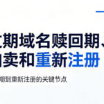 过期域名赎回期、拍卖和重新注册怎么判断